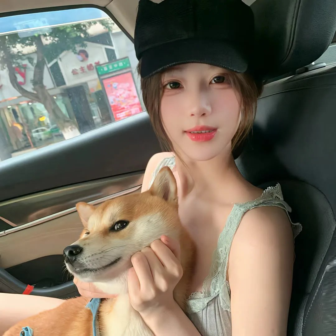 漂亮马驹